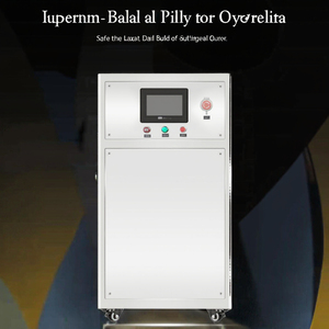 Generador de Ozono Industrial SRI SIVA SCIENTIFIC TECHNOLOGIES 100G, Purificador de Agua con Fuente de Oxígeno, Bomba de 220V, 1 Año de Garantía - Product Image 3