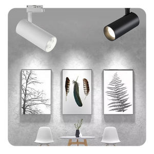 Lampes de focalisation 20W 30W 35W, spots encastrés en surface, rails magnétiques linéaires, éclairage sur <span class=keywords><strong>rail</strong></span> LED COB - Product Image 1