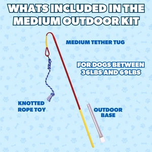 Iç ve dış mekanlarda kolay kurulum Tether Interactive Interactive köpek çiğneme oyuncakları - Product Image 2