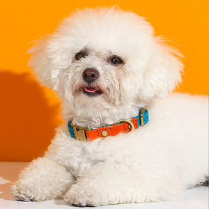 Retro color-blocked pet <b>collar</b>, suitable for small, medium, and <b>large</b> <b>dogs</b>, Pomeranians, cats, and <b>dogs</b>; logo printing - Product Image 2
