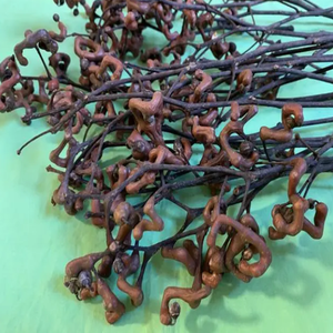 GMP standart yüksek kaliteli gıda sınıfı CAS 27200-12-0 Anti Hangover Hovenia Dulcis özü DHM Ampelopsin dihidromiricetin - Product Image 5