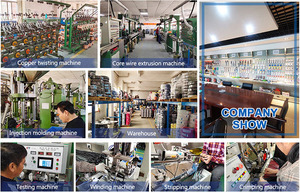 कस्टम उच्च गुणवत्ता वाले सिगरेट लाइटर 1 पुरुष से <span class=keywords><strong>2</strong></span> सॉकेट मोटर वाहन के लिए 1 पुरुष से <span class=keywords><strong>2</strong></span> सॉकेट - Product Image 5