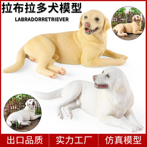 Modèle de simulation animale pour enfants yxs, jouet solide et grand Labrador Retriever, figurine cognitive de chien Corgi <span class=keywords><strong>Pomeranian</strong></span> - Product Image 1