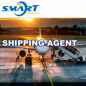 Pengiriman ke layanan transhipping Bandara Singapura hongchina ke Istanbul ke pintu atau bandara berbagai pilihan - Product Image 6