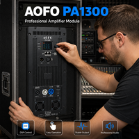 Module d'amplificateur de haut-parleur DSP 2 canaux 1300W en métal avec écran LCD pour système de sonorisation actif
