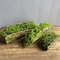 Fausse écorce d'arbre en plastique, mousse décorative pour aménagement intérieur/extérieur, racines d'arbres, plantes vertes, présentoirs muraux/suspendus au sol