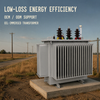 Transformateur de puissance triphasé immergé dans l'huile S22 12,47 kV à bobinages multiples pour distribution électrique 50 Hz 60 Hz