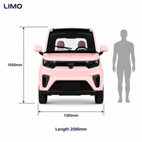 Voiture électrique miniature avec une autonomie de 100-140 km, moteur de 3000 W pour les trajets quotidiens, vente en gros directe d'usine, garantie d'un an