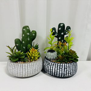 Planta Artificial <span class=keywords><strong>de</strong></span> <span class=keywords><strong>Cactus</strong></span> en Maceta - Decoración <span class=keywords><strong>de</strong></span> Pared Interior Verde <span class=keywords><strong>de</strong></span> Alta Simulación y Duradera para el Día <span class=keywords><strong>de</strong></span> San Valentín y el Día <span class=keywords><strong>de</strong></span> la Madre - Product Image 2