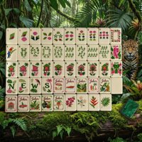 Jeu de Mahjong Américain Professionnel 160 Tuiles Acryliques 4 Couches Thème Forêt Tropicale Vente en Gros Prêt à Expédier Livraison Rapide