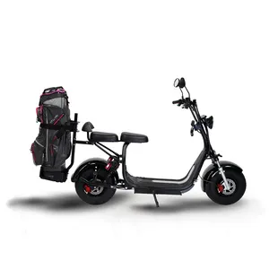 Vendita calda 2 posti elettrico Club Car Golf cart Scooter moto bici per Golf Club Golf Trolley con CE