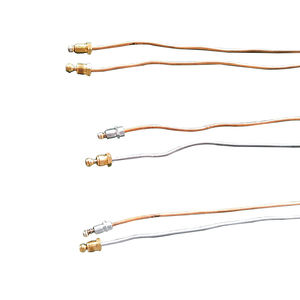 <span class=keywords><strong>Prix</strong></span> de gros <span class=keywords><strong>Chauffe</strong></span>-<span class=keywords><strong>eau</strong></span> à gaz Thermocouple <span class=keywords><strong>Sonde</strong></span> en acier inoxydable 304 - Product Image 2