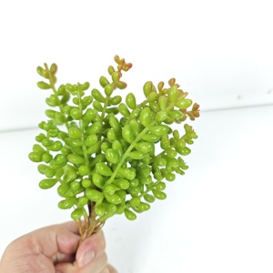 Flor hierba hiedra suculenta planta <span class=keywords><strong>Artificial</strong></span> bola tela y Material plástico para decoración <span class=keywords><strong>de</strong></span> pared interior al aire libre ocasiones <span class=keywords><strong>de</strong></span> boda - Product Image 6