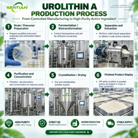 Urolithin A 99% HPLC Qualité Alimentaire Poudre en Vrac CAS 1143-70-0 Matière Première pour Compléments Alimentaires Vente en Gros OEM