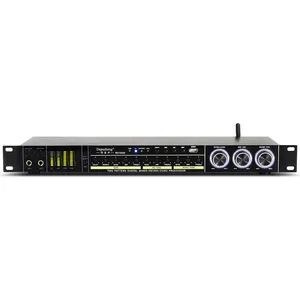 Depusheng Hot Sale REV3900 Digital Audio Processor KTV Pre-effector for Home Party Wedding Karaoke