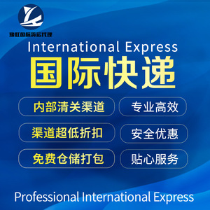 Yuhong International Express Asie du Sud-Est EMS Petits colis 0,5 kg-20 kg Logistique internationale Expédition de fret - Product Image 3