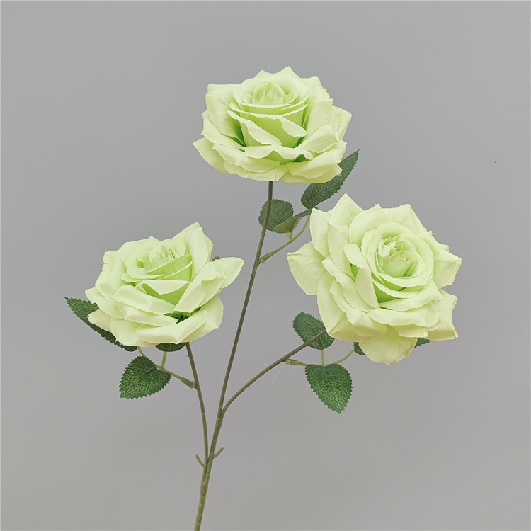 Color 7