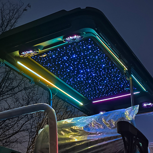 맞춤형 전기 앰비언트 조명 OEM 골프 헌팅 카트 버기 4인승 클럽 파티 - Product Image 6