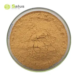 Factory supply rubia cordifolia extract