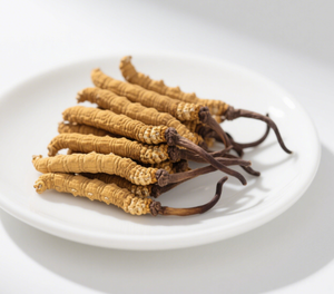 Amostra grátis <span class=keywords><strong>cordyceps</strong></span> <span class=keywords><strong>sinensis</strong></span> extrato <span class=keywords><strong>cordyceps</strong></span> <span class=keywords><strong>sinensis</strong></span> cogumelo - Product Image 1