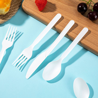 Ensembles de couverts jetables, compostables, biodégradables, écologiques et durables pour la restauration en gros et les mariages
