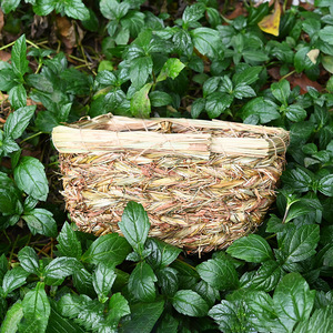 Casa Redonda de Paja Tejida para Mascotas, Nido de Hámster de Hierba, Estilo Rústico para las Cuatro Estaciones - Product Image 2