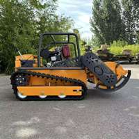 Tondeuse à fléaux télécommandée robuste Koop/Yanmar Diesel RC Crawler pour ferme, 192CC, 24V, 800mm, pour couper l'herbe