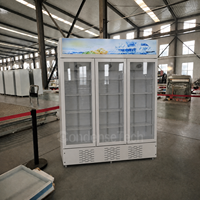 Réfrigérateur commercial vertical pour boissons, vitrine réfrigérée avec verre trempé incurvé, température unique, contrôle numérique