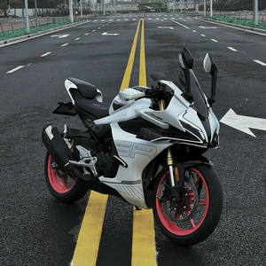 Nueva Motocicleta Deportiva Nacional IV <span class=keywords><strong>250</strong></span>, Versión de <span class=keywords><strong>Pista</strong></span> GSX Refrigerada por Agua con Inyección Electrónica de Combustible, Motocicleta NK250 Little Baboon - Product Image 2