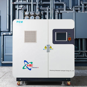 SAICKESAISI QLS-H5 85LPM <strong>Hydrogen</strong> <strong>Generator</strong> for GC with 99.999% H2 Purity and 15bar Pressure - Product Image 1