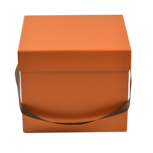 Tùy Chỉnh Có Thể Tái Chế Tráng Giấy Lưu Trữ & Di Chuyển Hộp Cho Giày Vớ Quần Áo Lông Thú Với Thiết Kế Thủ Công Và Chất Lượng Tốt Nhất Ribbon - Product Image 5