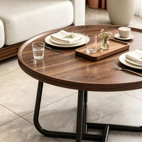 Ensemble de 2 tables basses gigognes en métal, style moderne et luxueux, en acier inoxydable et bois, rondes, pour salon