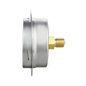 เครื่องมือวัดความดันขนาด100มม. 2.5% ตัวบ่งชี้ชนิดความดันก๊าซแอมโมเนียเครื่องวัดความดันแบบแคปซูลพร้อมขอบหน้าแปลน - Product Image 3