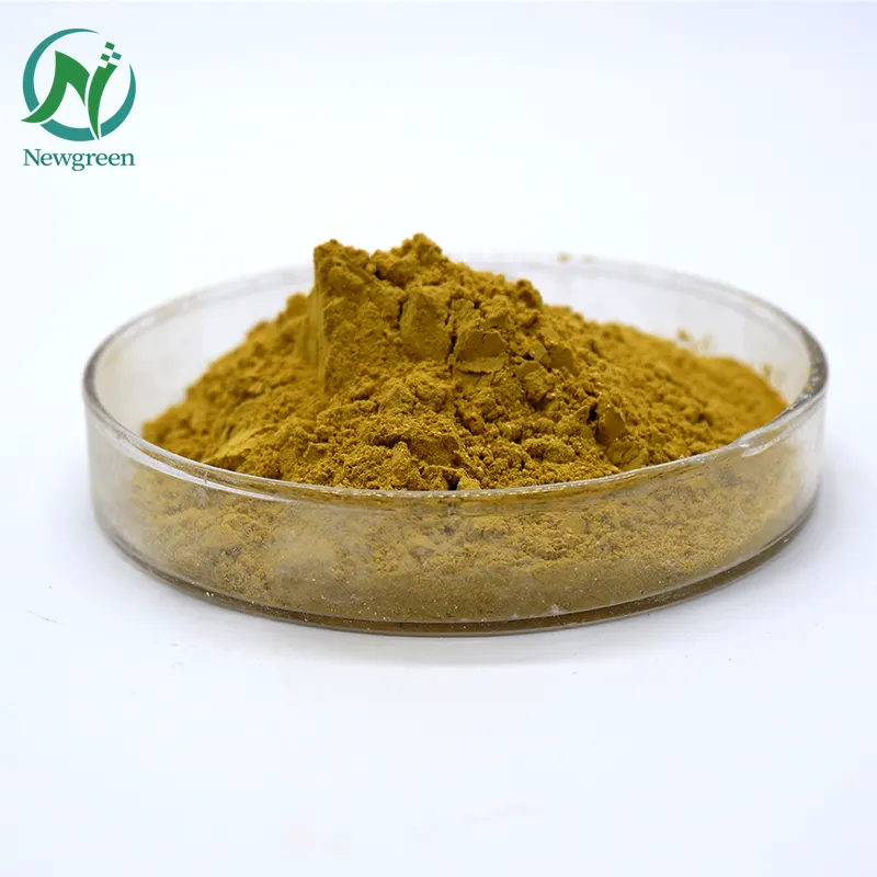 High Quality Supply 100% Pure Natural Okra Extract Powder