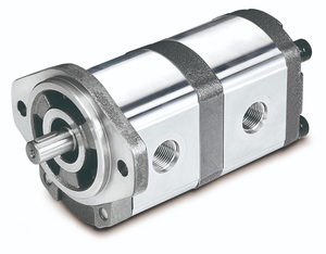 Structure d'engrenage de pompe à déplacement positif haute pression personnalisée pour outils hydrauliques OEM pour applications haute pression - Product Image 6