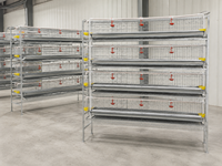Nouvelle cage à cailles en fil d'acier galvanisé à 5 niveaux pour la production d'œufs avec système d'alimentation, facile à utiliser, garantie 1 an