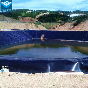 500 микрон HDPE, противофильтрационная облицовка водоёма для рыбного хозяйства, hdpe-геомембрана Сделано в Китае для рыбы креветки пруд в Доминика - Product Image 4