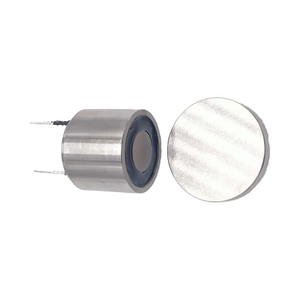 45kgf lực lượng nhỏ solenoid châm điện Power-on DC12V 24V nam châm điện cuộn dây nâng lên để giữ nam châm điện cuộn dây cho - Product Image 1