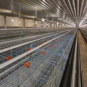 Viande volaille couches poulet alimentation animal et équipement d'élevage de volaille - Product Image 2