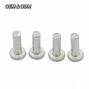 Spot Product Customized Aluminum Steel Round Truss Head Solid Rivets Aluminium Solid Rivet