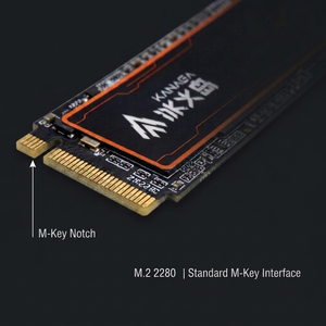 Logo personnalisé KANAGA M.2 NVMe SSD 1TB 2TB PCIe 4.0 Service OEM/ODM disponible pour les distributeurs - Product Image 6