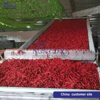 Séchoirs professionnels séchoir à piment rouge séchoir à paprika machine de séchage