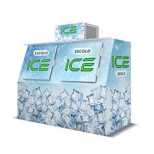 Bag Ice Storage Bin Indoor/outdoor Ice Freezer Ice Shop Equipment