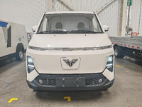 Mobil Van Kargo Listrik Otomatis REACH TE402 Putih 70KW 2 Kursi Terlaris