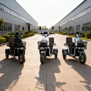 Triciclo de 3 Ruedas con Marco de Acero y 3 Velocidades, el Más Popular para Adultos, Carrocería Abierta, Batería de Plomo-Ácido de 500W - Product Image 3