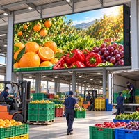 Écran LED publicitaire extérieur P6.67, vision à 160 degrés, 4K, 7500 nits, IP65, montage mural, lisible en plein soleil, vente en gros