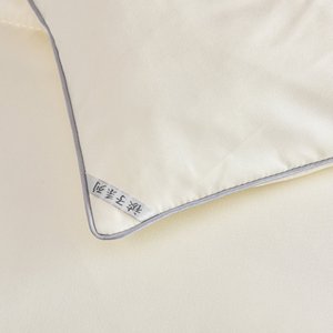 Edredón <span class=keywords><strong>de</strong></span> Invierno Personalizado al por Mayor, Edredón <span class=keywords><strong>de</strong></span> Color Sólido, Edredón <span class=keywords><strong>de</strong></span> Soja Súper Suave para el Hogar y Hoteles - Product Image 5