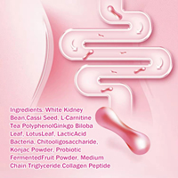 Kapsul Probiotik Pelangsing Herbal Slim Fit Pil Diet untuk Menurunkan Berat Badan Pembakar Lemak Produk Kecantikan Pengatur Energi