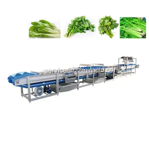 Full Automatic Long Leaf Vegetable Nondestructive Cleaning Air Drying Line Green Onions Washing Machine