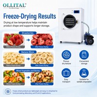 Ollital Vriesdroogmachine voor voedselconservering, fruit- en groentemonsterdroging met visuele proceskamer
